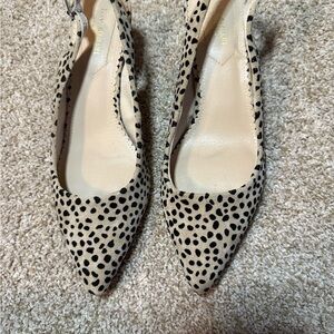 Cheetah dress shoes